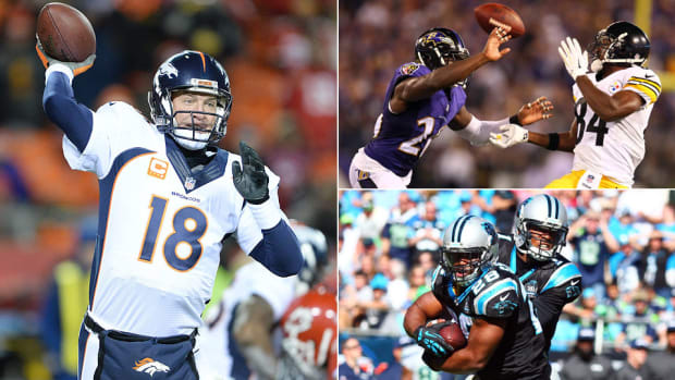 2014-nfl-playoff-preview-dark-horse-super-bowl-xlix